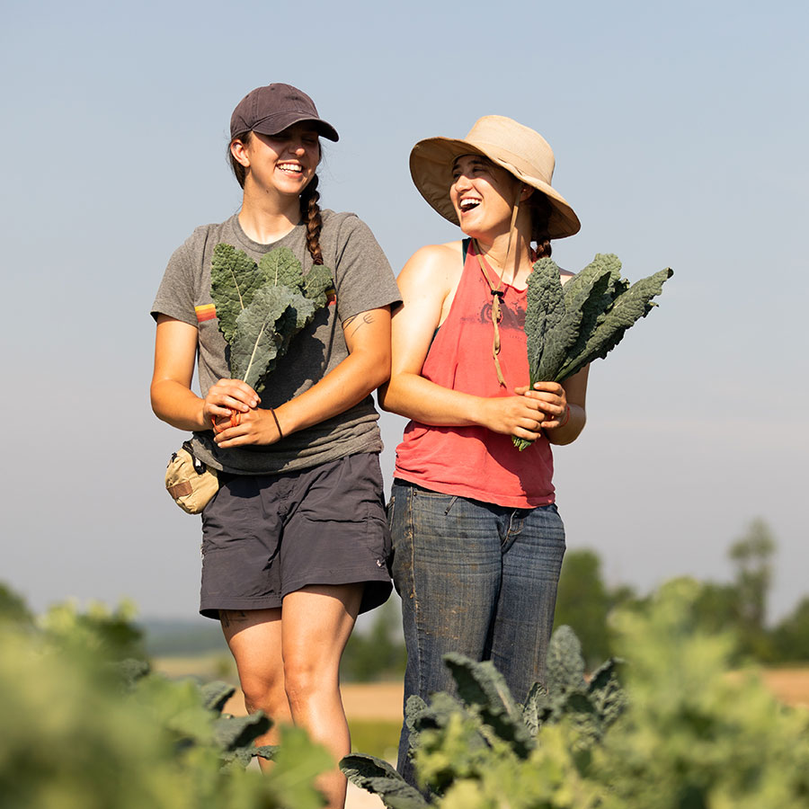 Two female college students holding fresh produce in a field and laughing